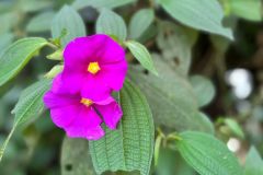 IMG-20241005-WA0142