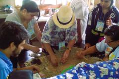 IMG-20151115-WA0021
