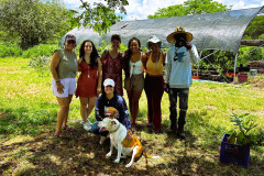 img-20240521-wa0006